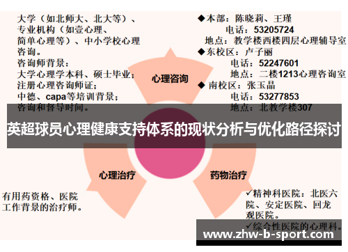 英超球员心理健康支持体系的现状分析与优化路径探讨