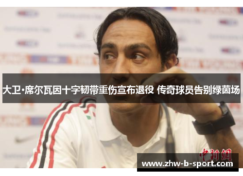 大卫·席尔瓦因十字韧带重伤宣布退役 传奇球员告别绿茵场 大卫·席尔瓦因十字韧带重伤宣布退役 传奇球员告别绿茵场